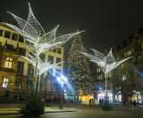 wiloka - Weihnachtliches Licht auf dem Schlossplatz - 24.11.2020, 

- Foto: René Vigneron / VRM Bild, 


