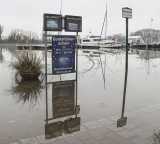 wiloka - Hochwasser am Rhein - Update Dienstag - 02.02.2021,
Schiersteiner Hafen

- Foto: René Vigneron / VRM Bild, 


