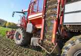 wiloka - Serie Landwirtschaft - Oktober - Zuckerrüben - 24.10.21
Rübenernten mit dem Holmer T3

- Foto: René Vigneron / VRM Bild, 


