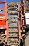 wiloka - Serie Landwirtschaft - Oktober - Zuckerrüben - 24.10.21
Landwirt Bernd Deul zeigt den Unterschied zwischen einer gedüngten Rübe und rechts einer Rübe von der nicht behandelten Fläche

- Foto: René Vigneron / VRM Bild, 



