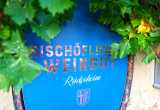 rgloka - Weinlese Bischöfliches Weingut Rüdesheim - 30.09.22, 
Handlese am Kloster Johannisberg um 8 Uhr bei 4 Grad über Null und Sonnenschein, doch dann kam der Nebel

- Foto: René Vigneron


