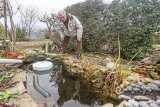 wiloka - Paul Fritsch - seit 50 Jahren in seinem Kleingarten - 31.01.23,  Prüfender Blick in seinen kleinen Gartenteich- Foto: René Vigneron