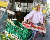 wiloka - BIO-LÄDEN IN DER KRISE - 03.05.23,  
Susanne Werner mti den ersten deutschen Erdbeeren der Saison - Hofladen im Rheingauviertel

- Foto: René Vigneron


