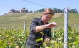 rgloka - Mit den Winzern durchs Weinjahr Teil 5 - 31.05.23,  
Sebastian Hanka bei der Arbeit im Weinberg

- Foto: René Vigneron


