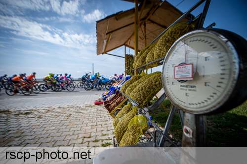 Cycling / Radsport / 56. Presidential Cycling Tour of Turkey - 4.Etappe / 14.04.2021
Stage 4 - Alanya > Kemer - Team Novo Nordisk

Foto: René Vigneron / rscp-photo